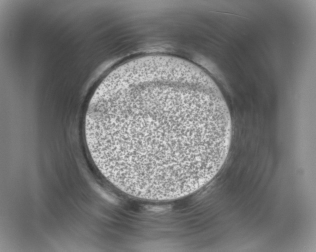 X0000063500155200602172128