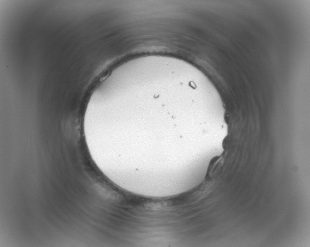 X0000063500160200602172128