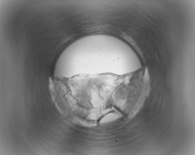 X0000063500161200602172128