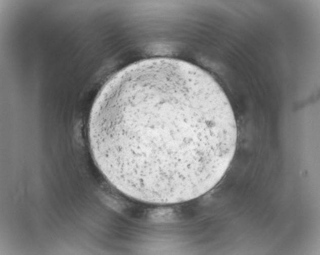 X0000063500162200602172128