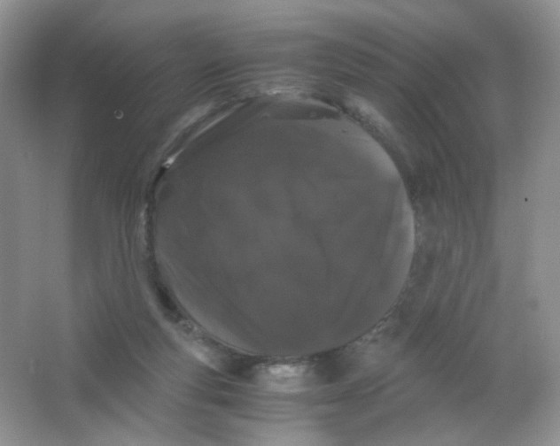 X0000063500163200602172128