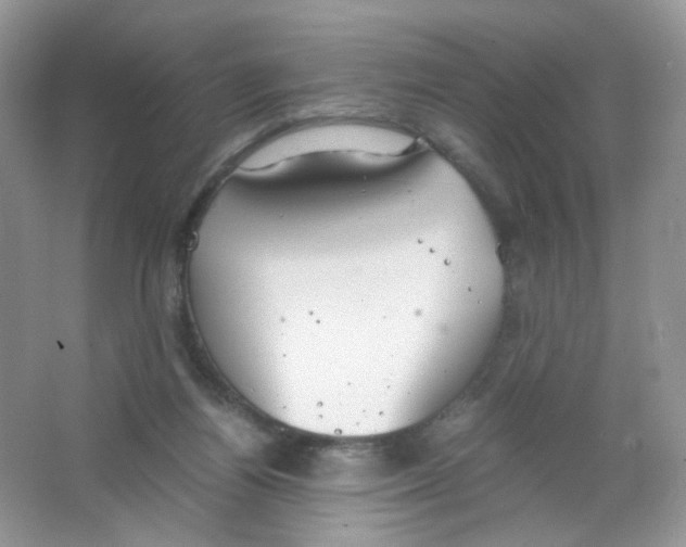 X0000063500164200602172128