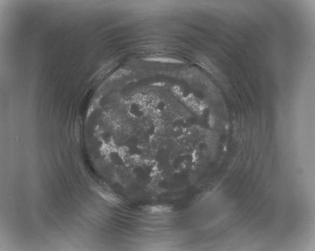 X0000063500165200602172128