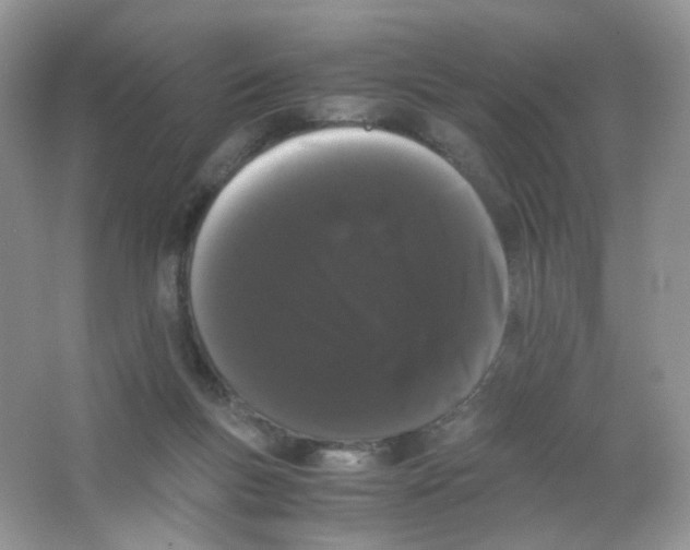 X0000063500167200602172128