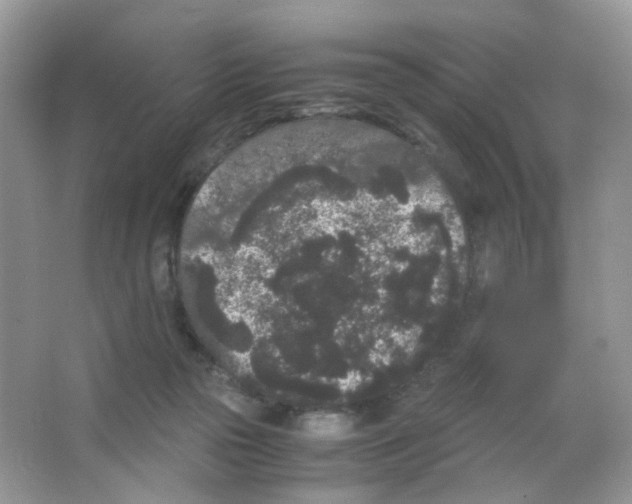 X0000063500169200602172128