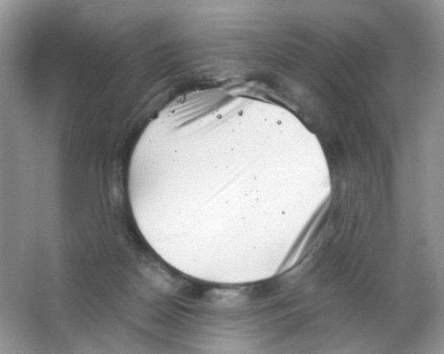 X0000063500170200602172128