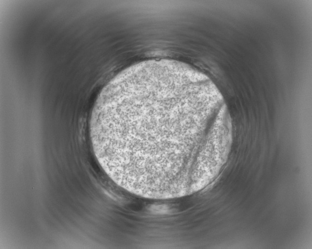 X0000063500171200602172128