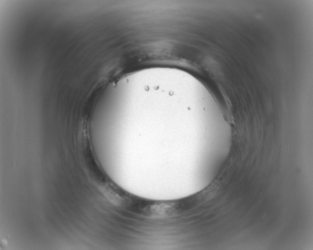 X0000063500172200602172128