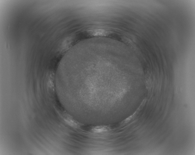 X0000063500175200602172129