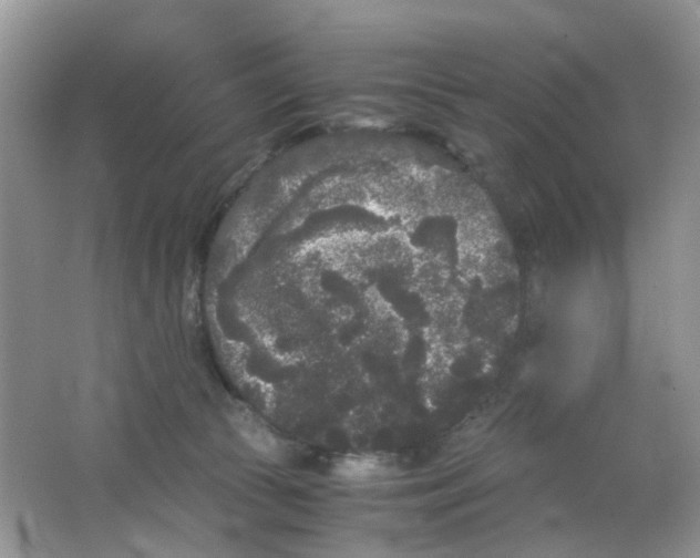 X0000063500177200602172129