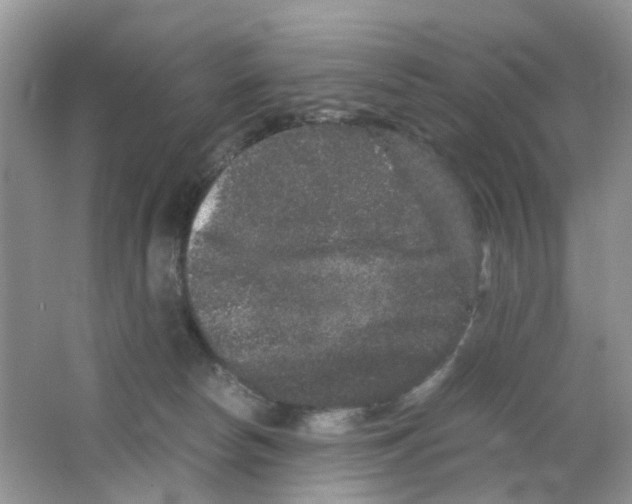 X0000063500178200602172129