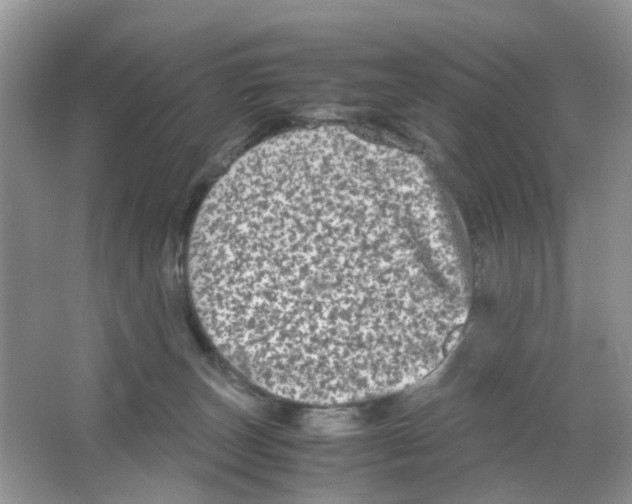 X0000063500179200602172129