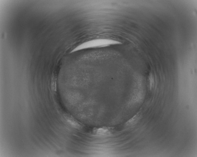 X0000063500180200602172129