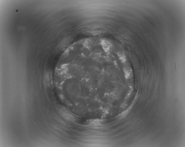 X0000063500182200602172129