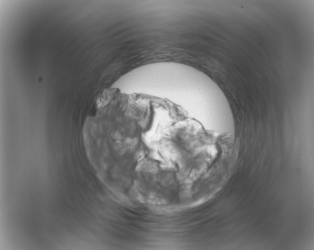 X0000063500185200602172129