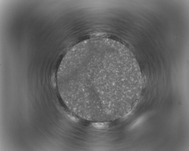 X0000063500187200602172129