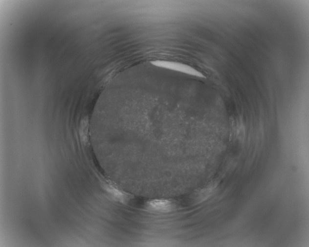 X0000063500189200602172129