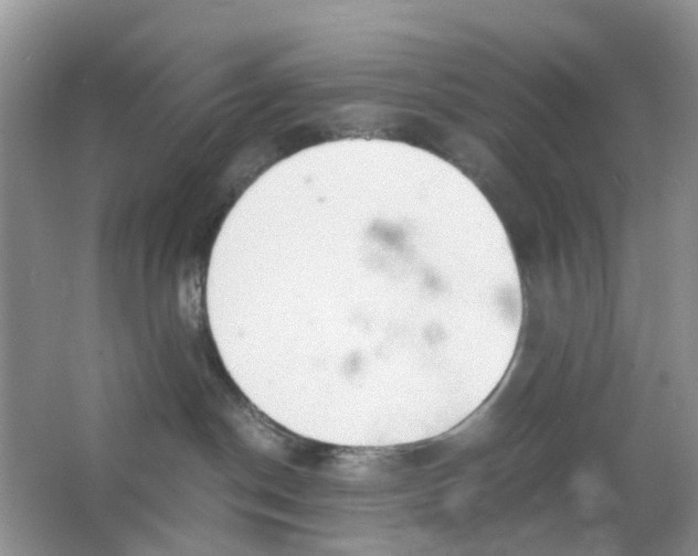 X0000063500190200602172129