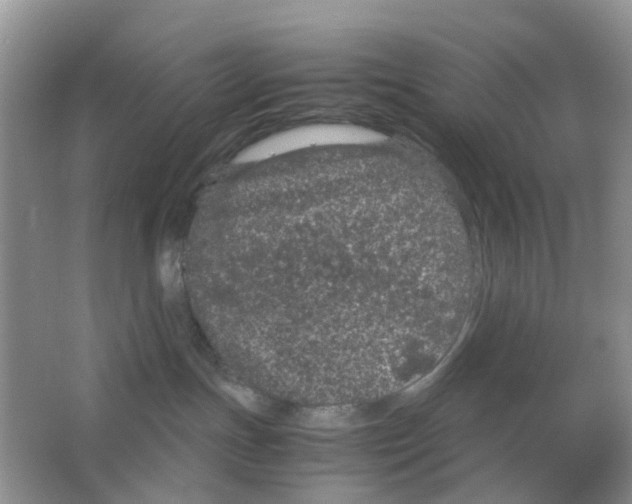 X0000063500191200602172129