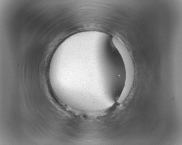 X0000063500193200602172128