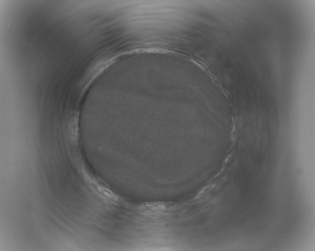 X0000063500194200602172128