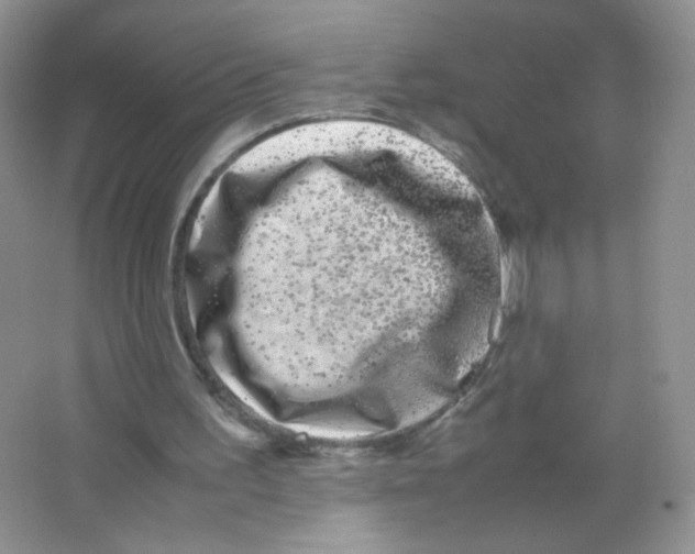 X0000063500195200602172128