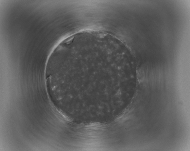 X0000063500196200602172128