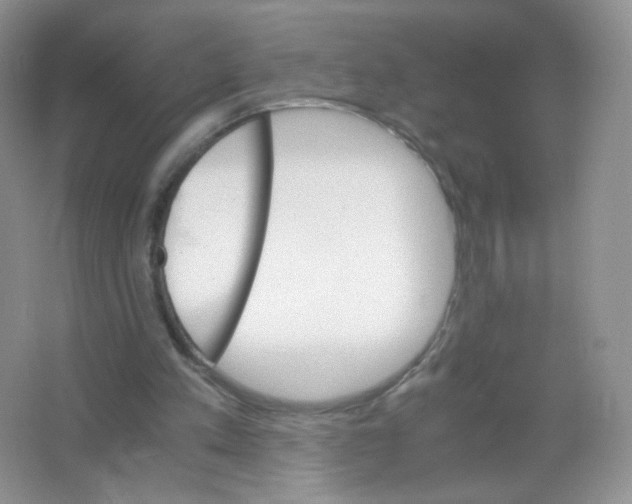 X0000063500197200602172128