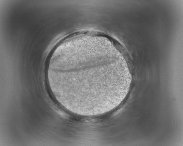 X0000063500199200602172128