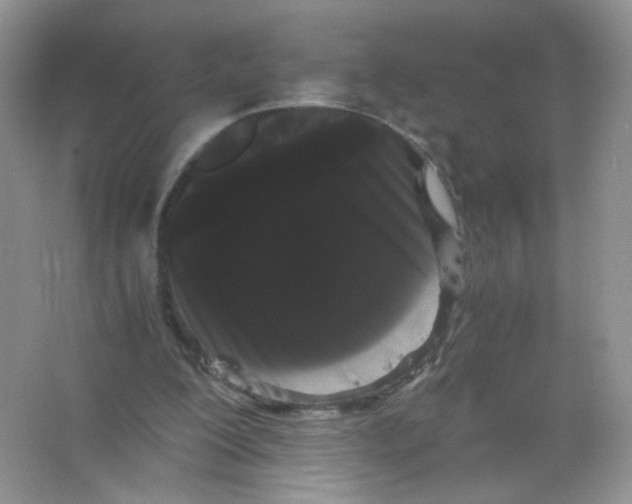 X0000063500200200602172128