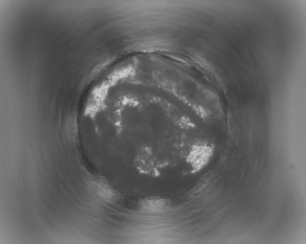 X0000063500202200602172128