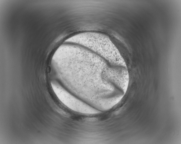 X0000063500203200602172128