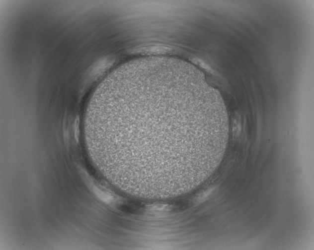 X0000063500206200602172128