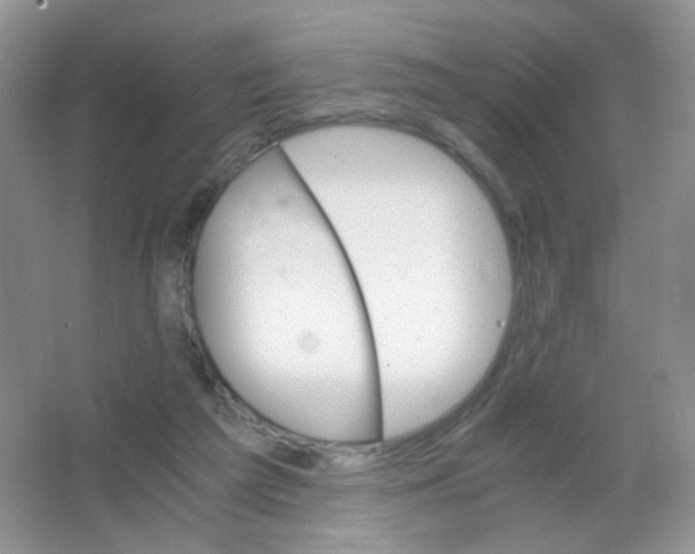 X0000063500209200602172128