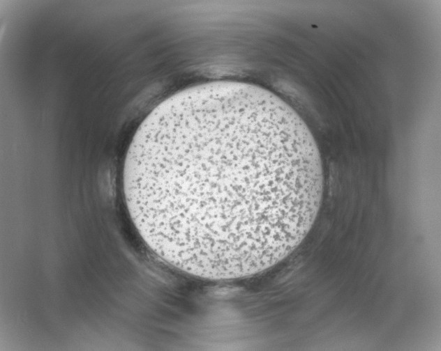 X0000063500210200602172128