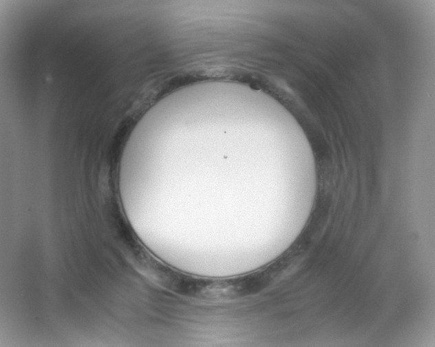 X0000063500213200602172128