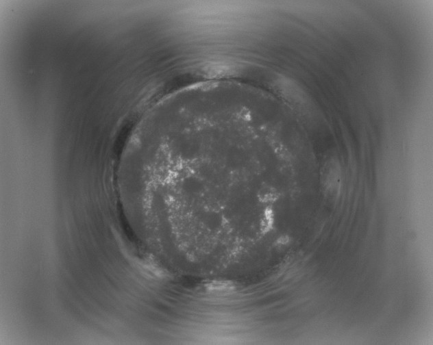 X0000063500214200602172128