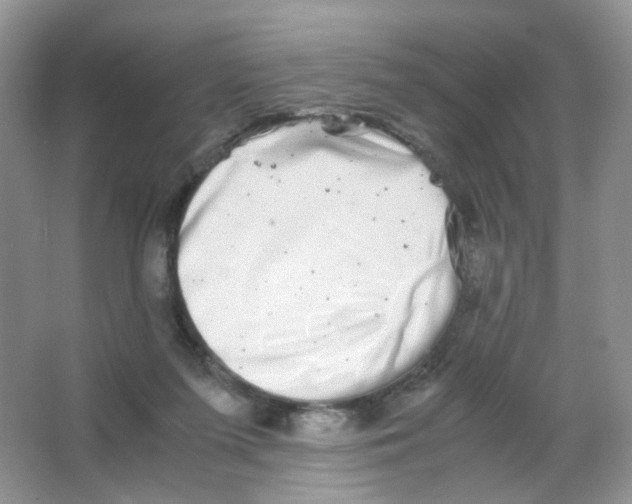 X0000063500215200602172128