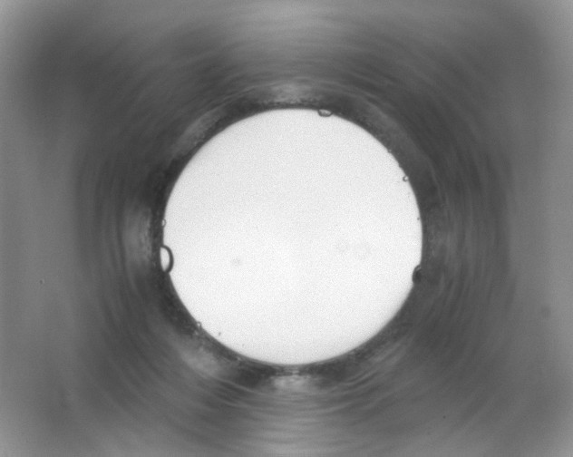 X0000063500216200602172128