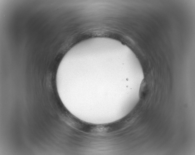 X0000063500217200602172128