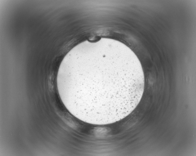 X0000063500218200602172128