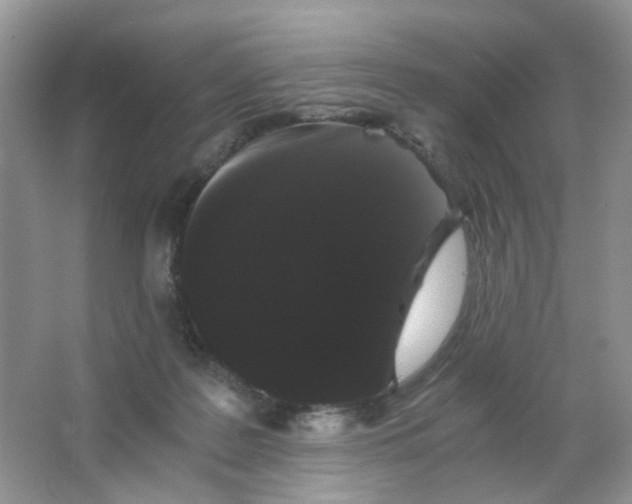 X0000063500219200602172128