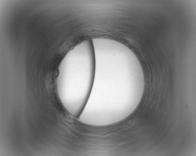 X0000063500221200602172127