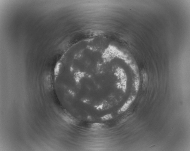 X0000063500222200602172127