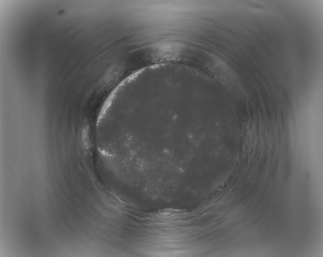 X0000063500224200602172127