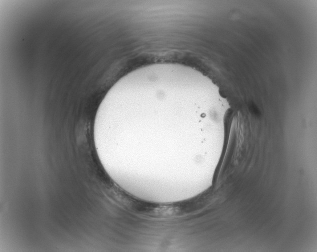 X0000063500225200602172127