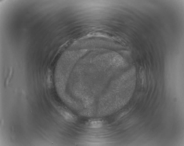 X0000063500228200602172127