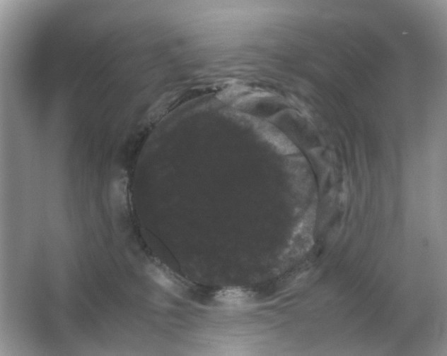 X0000063500231200602172127