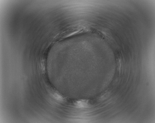 X0000063500232200602172127