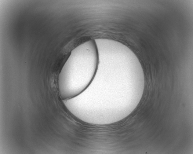 X0000063500233200602172127